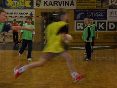 Obrázek 111039 