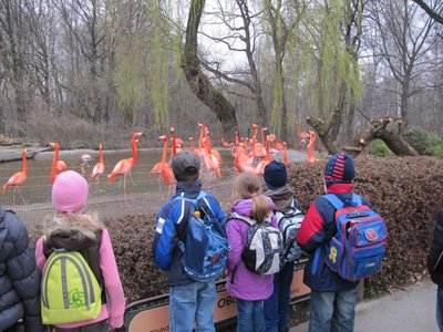 Výlet do ZOO