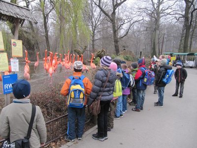 Obrázek 110597 