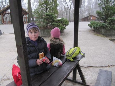 Obrázek 110607 