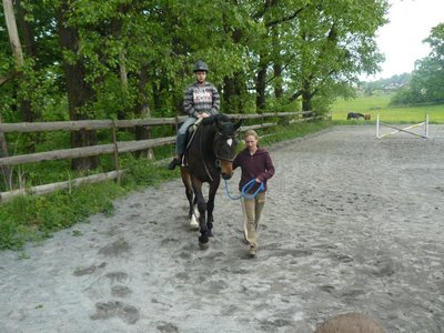 Obrázek 118767 