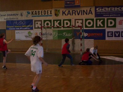 Obrázek 110470 