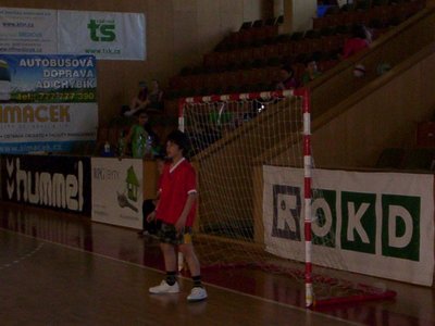 Obrázek 110485 