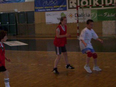 Obrázek 110473 