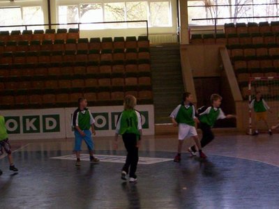 Obrázek 110476 