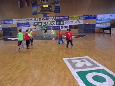 Obrázek 110055 