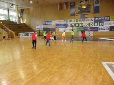 Obrázek 110056 
