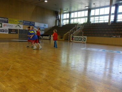 Obrázek 110063 