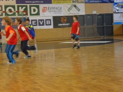 Obrázek 110064 