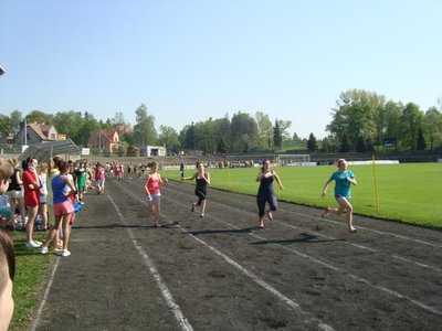 Obrázek 110018 
