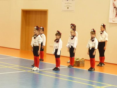 Obrázek 109523 