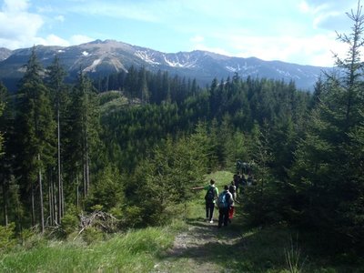 Obrázek 109342 