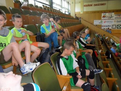 Obrázek 109195 