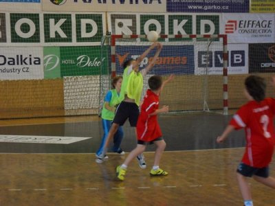 Obrázek 109205 