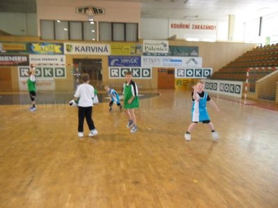 Obrázek 109210 
