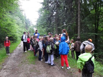 Obrázek 108831 
