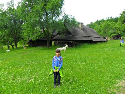 Obrázek 108938 