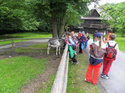 Obrázek 108947 