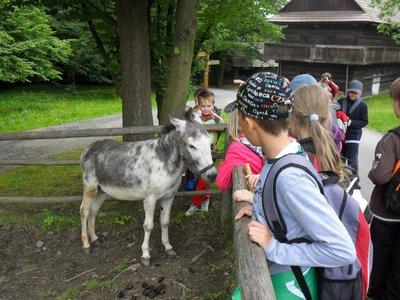 Obrázek 108949 