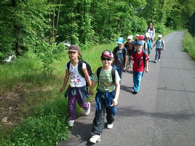 Obrázek 108513 