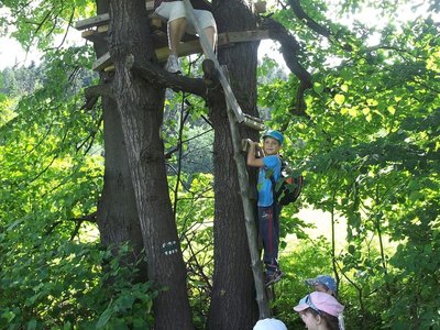 Obrázek 108436 