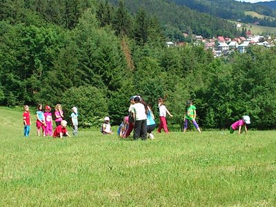 Obrázek 108330 