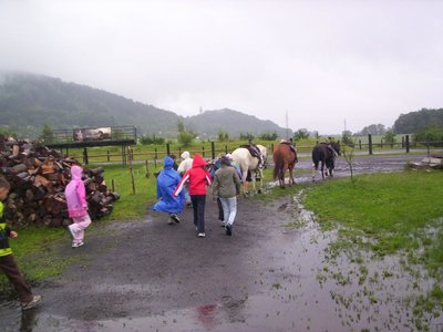 Obrázek 107988 