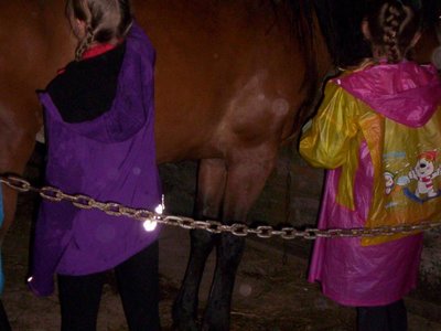 Obrázek 108021 