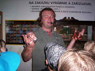 Obrázek 108073 