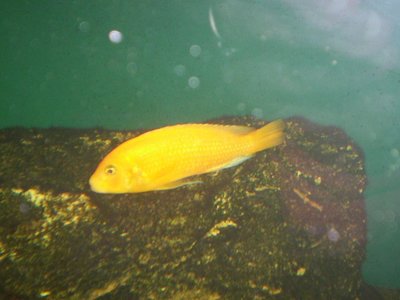 Obrázek 108076 