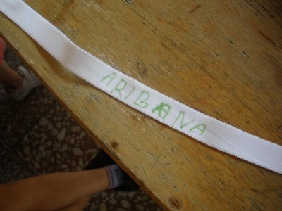 Obrázek 107724 