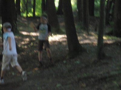 Obrázek 107796 
