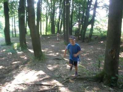 Obrázek 107798 