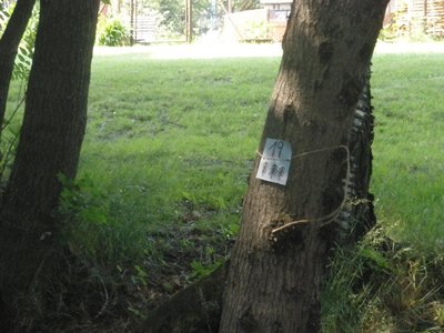 Obrázek 107799 