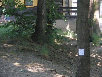Obrázek 107800 