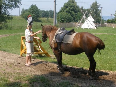 Obrázek 107801 Každého z nás svezla kobylka Karina...
