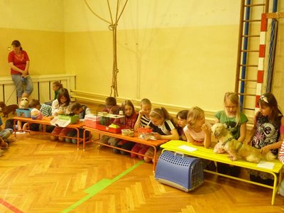 Obrázek 107349 