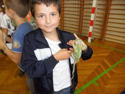 Obrázek 107337 