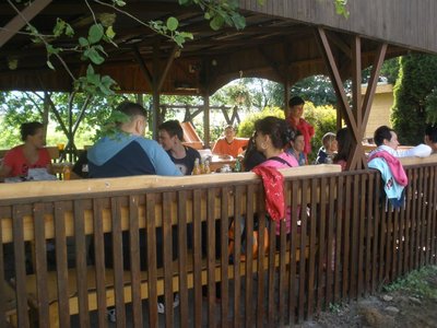 Obrázek 107241 