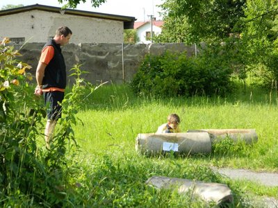 Obrázek 107195 