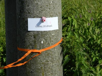 Obrázek 107197 