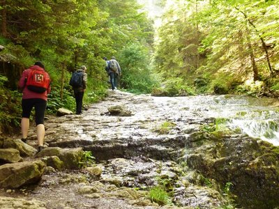 Mendeláci v Národním parku Malá Fatra