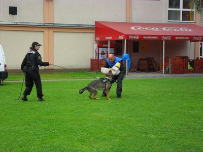 Obrázek 106939 