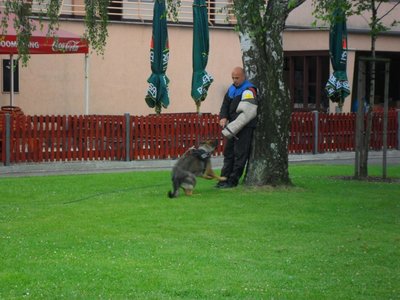 Obrázek 106942 