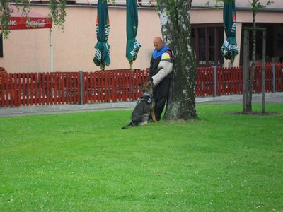 Obrázek 106943 