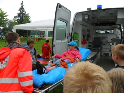 Obrázek 106997 