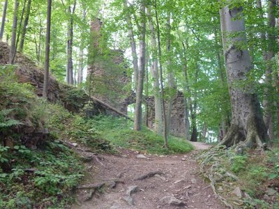 Obrázek 106382 