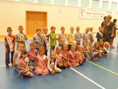 Obrázek 106301 