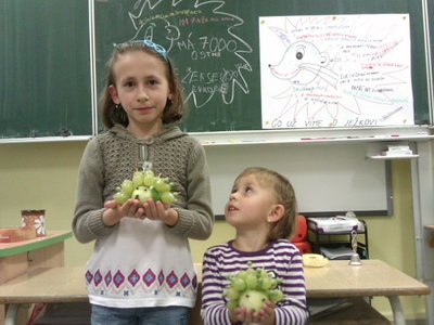 Obrázek 105738 