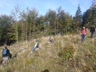 Obrázek 105523 